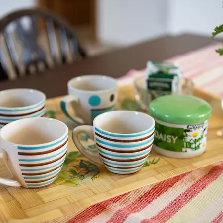 Fico Домус-де-Мария